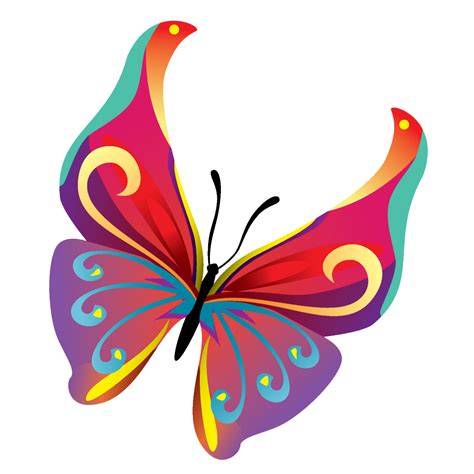 butterfly vector png